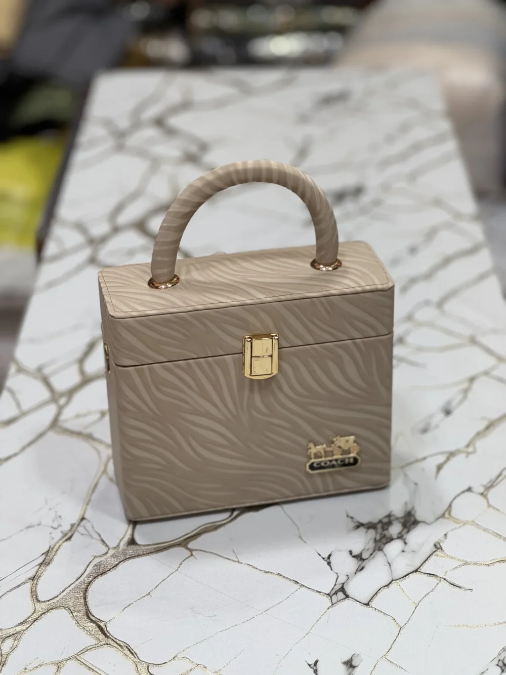 Skin Box Hand Bag
